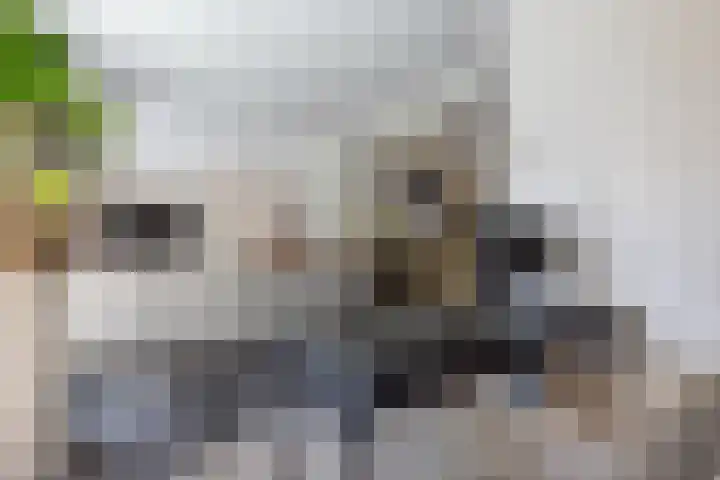 Van Beethovenlaan 121 Rotterdam thumbnail 15