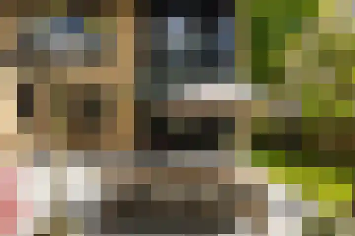 Van Beethovenlaan 121 Rotterdam thumbnail 35