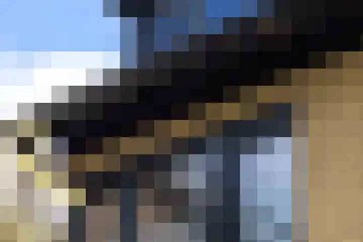 Van Beethovenlaan 121 Rotterdam thumbnail 37