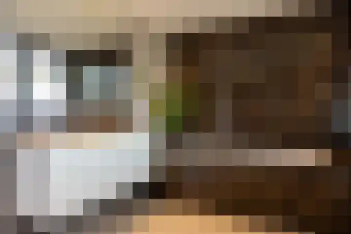 Van Beethovenlaan 121 Rotterdam thumbnail 4