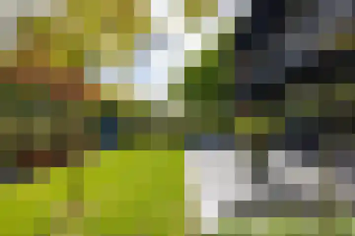 Van Beethovenlaan 121 Rotterdam thumbnail 42