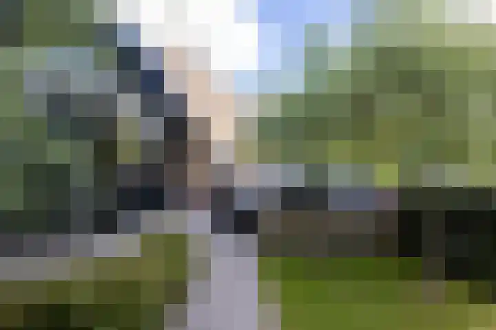 Van Beethovenlaan 121 Rotterdam thumbnail 48