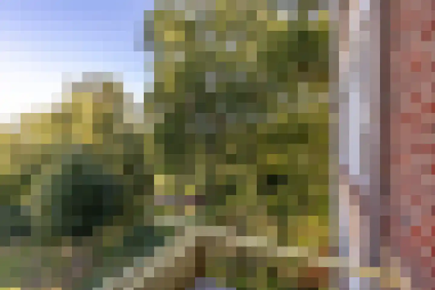 Van Beethovenlaan 131 Voorschoten thumbnail 20