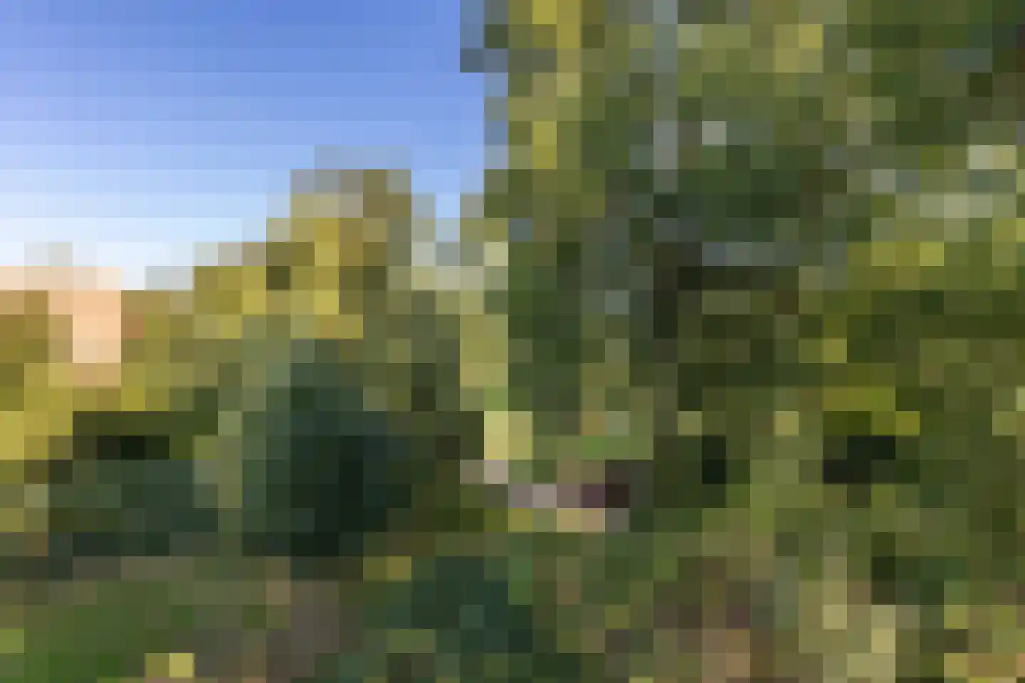 Van Beethovenlaan 131 Voorschoten thumbnail 22