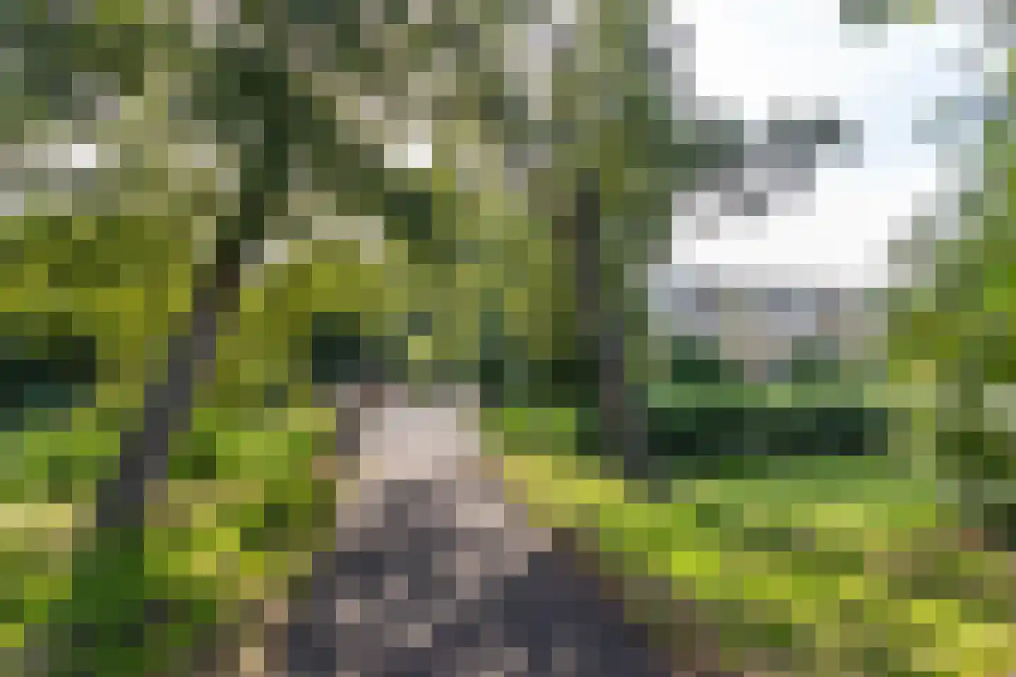 Van Beethovenlaan 131 Voorschoten thumbnail 29