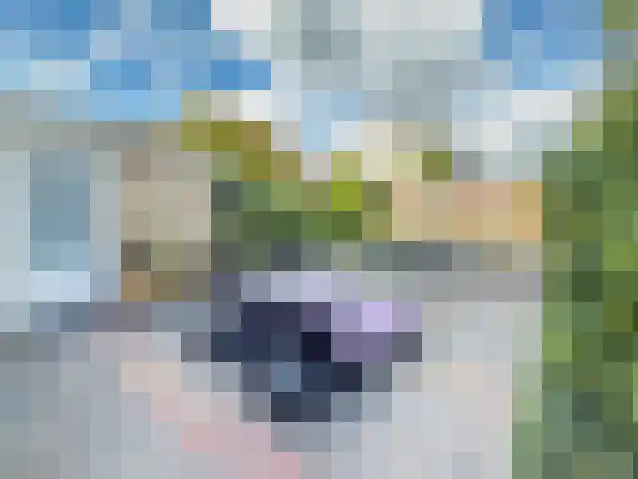 Van Beethovenlaan 133 Capelle aan den IJssel thumbnail 11
