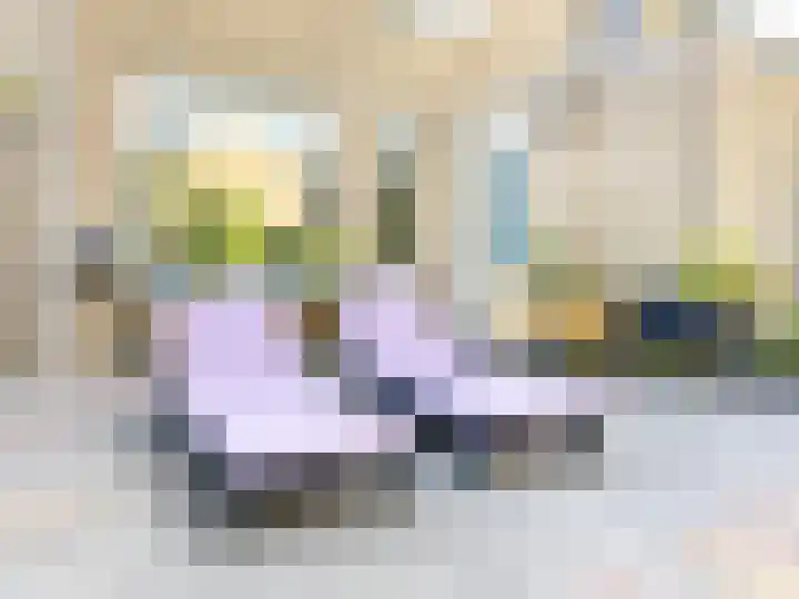 Van Beethovenlaan 133 Capelle aan den IJssel thumbnail 12