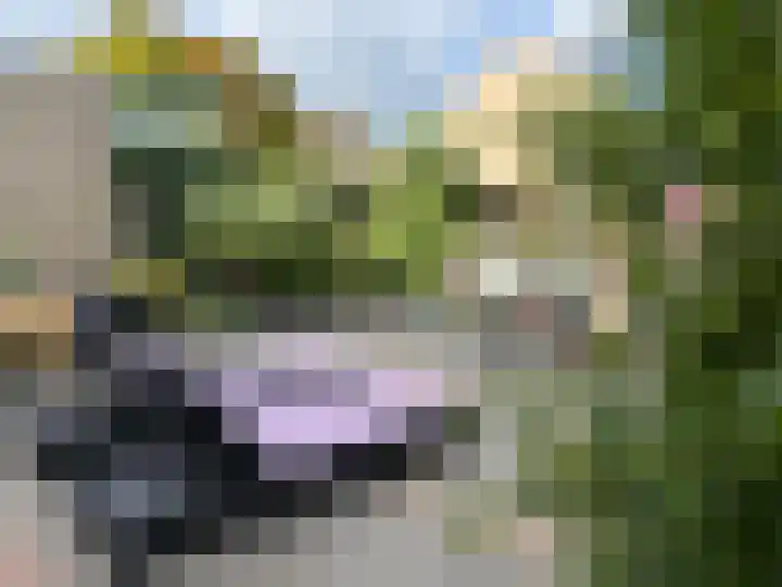 Van Beethovenlaan 133 Capelle aan den IJssel thumbnail 13