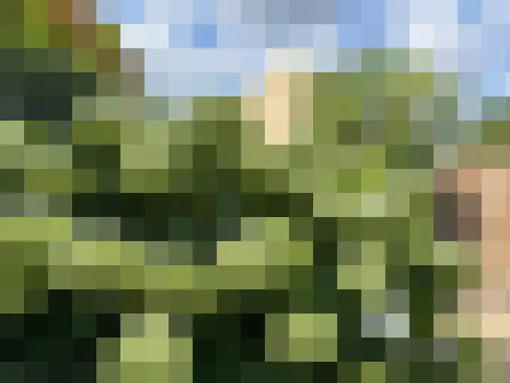 Van Beethovenlaan 133 Capelle aan den IJssel thumbnail 14