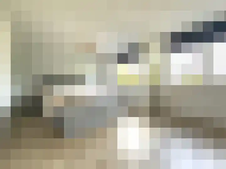 Van Beethovenlaan 133 Capelle aan den IJssel thumbnail 21