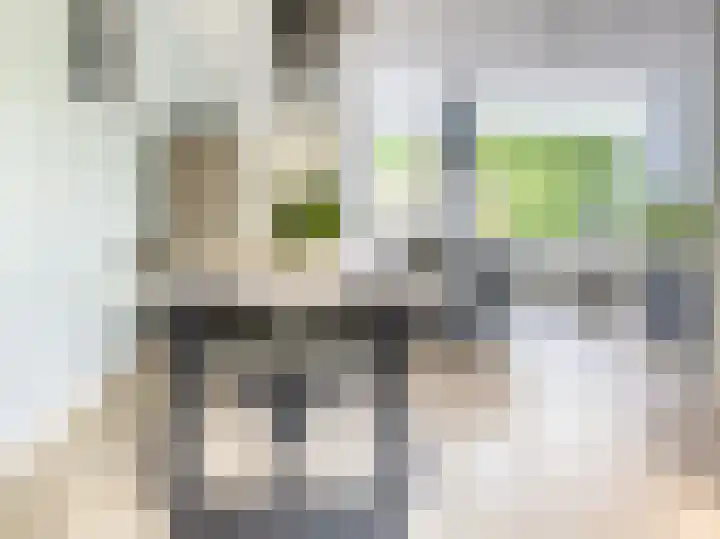 Van Beethovenlaan 133 Capelle aan den IJssel thumbnail 4