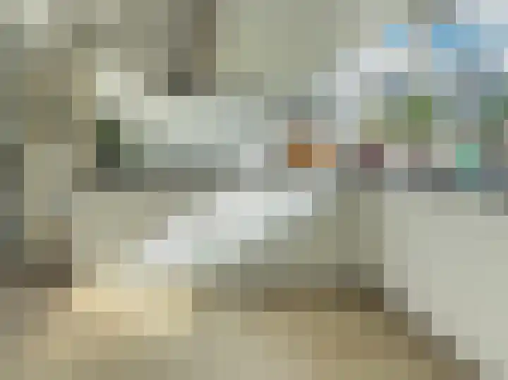 Van Beethovenlaan 133 Capelle aan den IJssel thumbnail 8