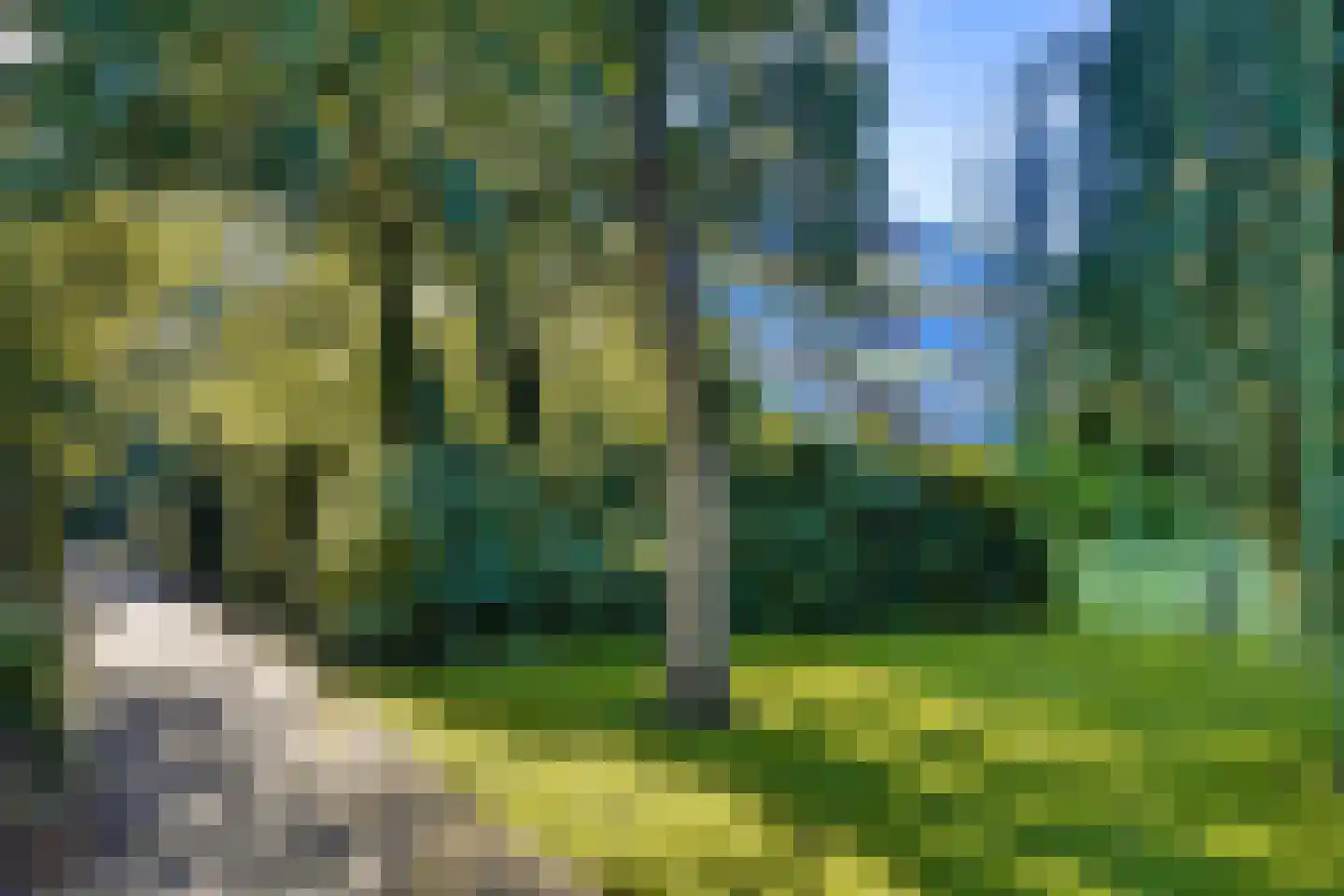 Van Beethovenlaan 133 Voorschoten thumbnail 20