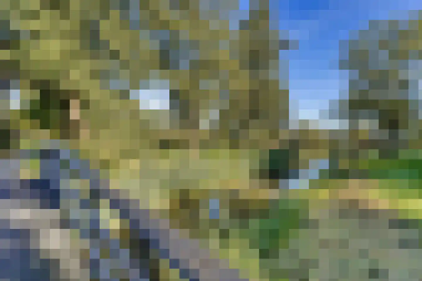 Van Beethovenlaan 133 Voorschoten thumbnail 21