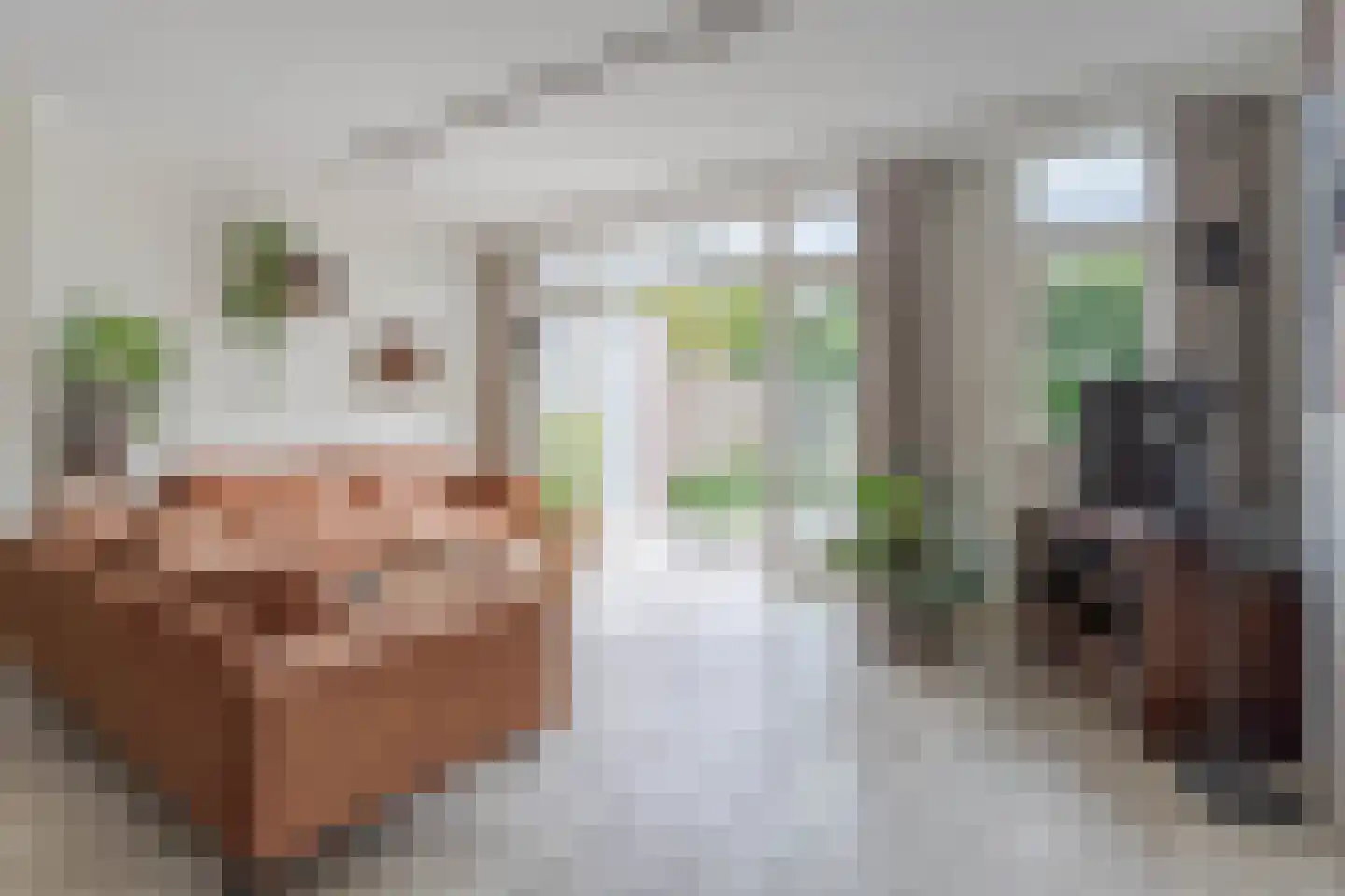 van Beethovenlaan 16 Hazerswoude-Rijndijk thumbnail 10
