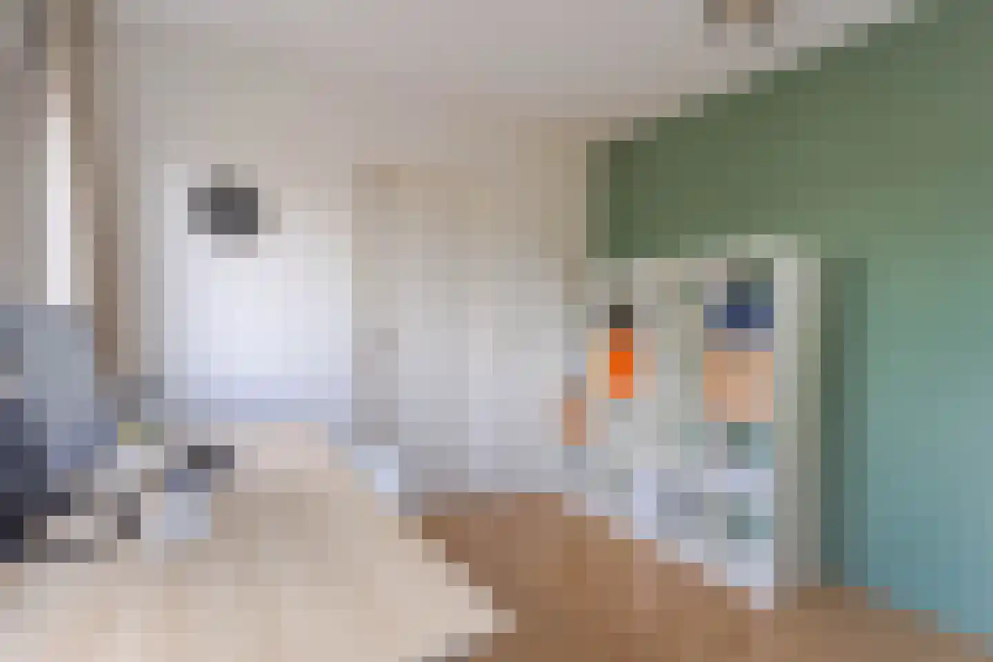 van Beethovenlaan 16 Hazerswoude-Rijndijk thumbnail 19