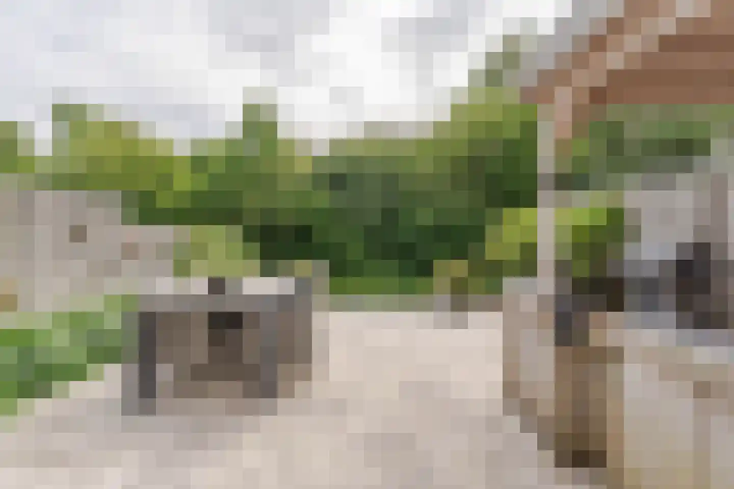van Beethovenlaan 16 Hazerswoude-Rijndijk thumbnail 32
