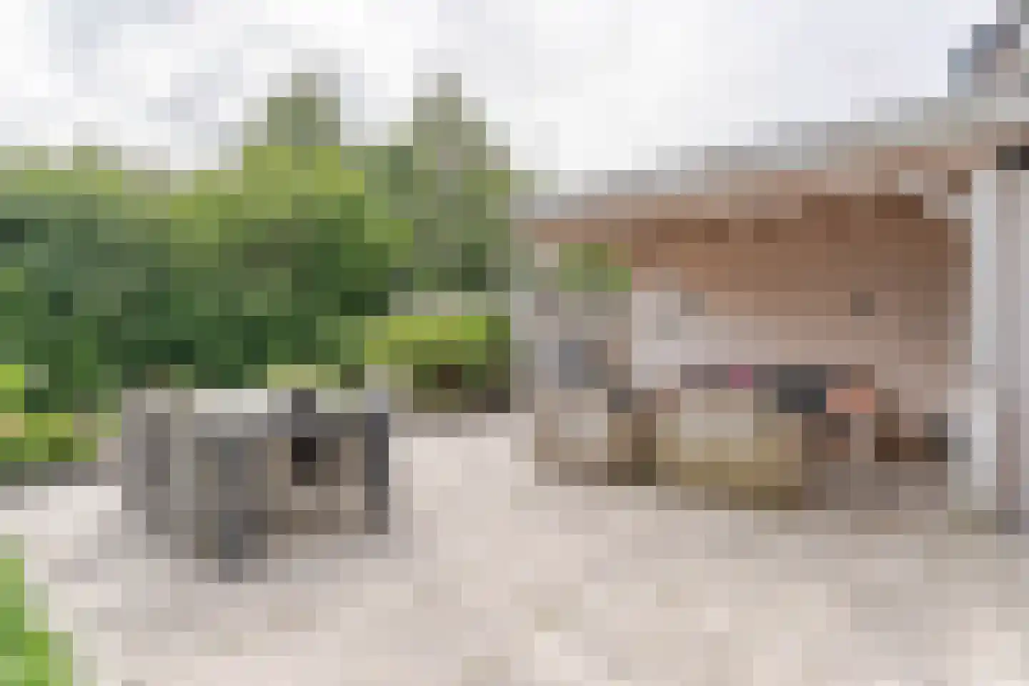 van Beethovenlaan 16 Hazerswoude-Rijndijk thumbnail 34