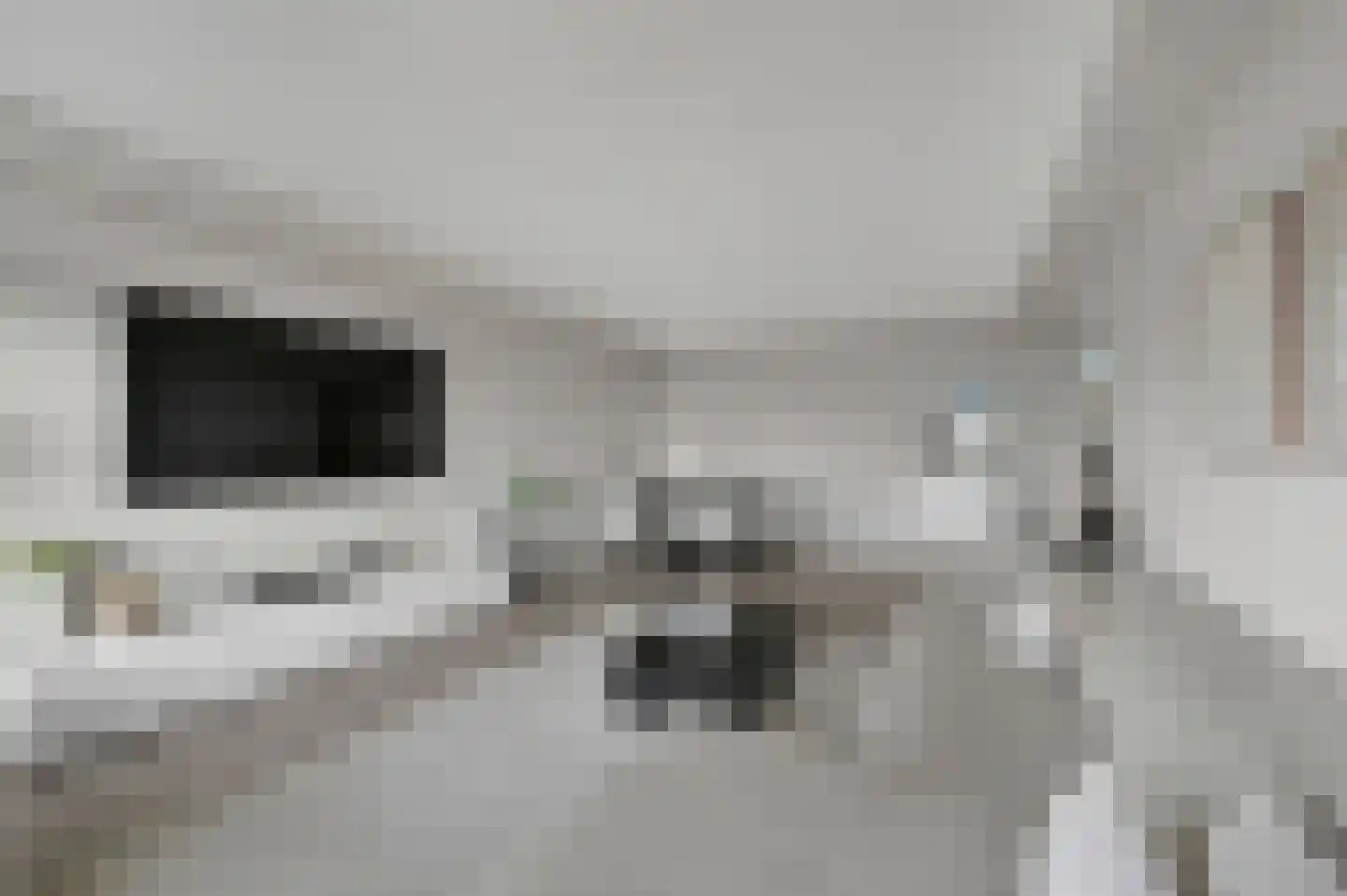 Van Beethovenlaan 211 Maassluis thumbnail 4
