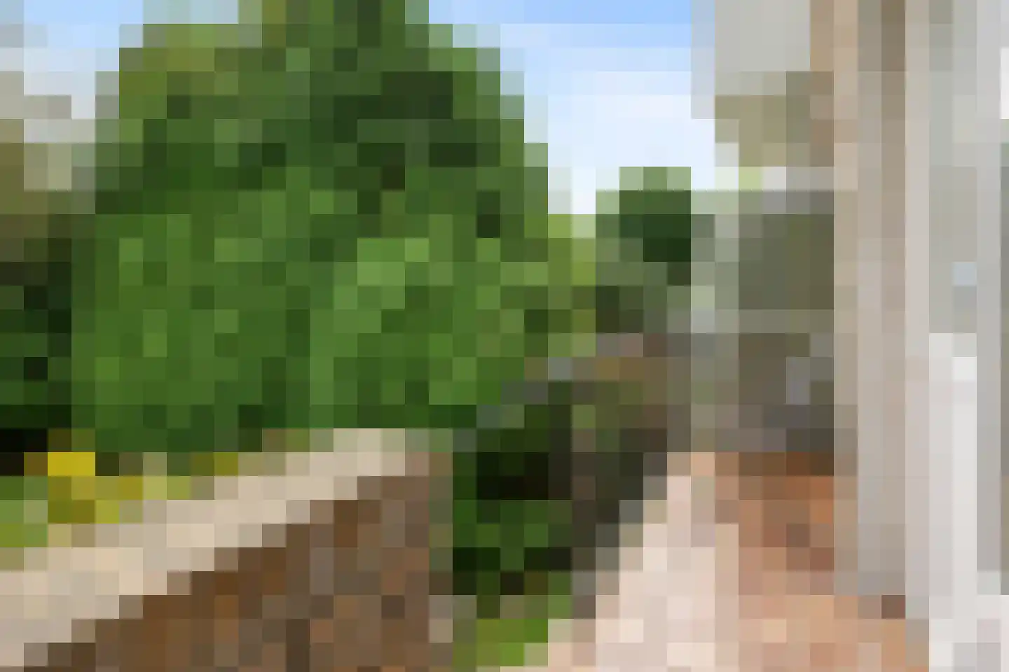 Van Beethovenlaan 22 Rotterdam thumbnail 13