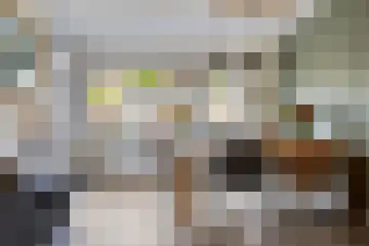 van Beethovenlaan 34 Losser thumbnail 10