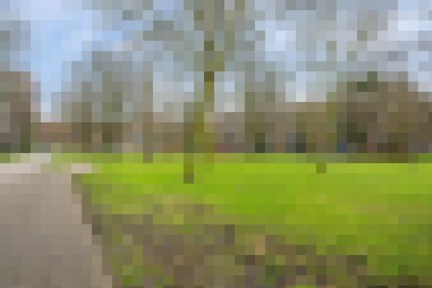 Van Beethovenlaan 341 Maassluis thumbnail 26
