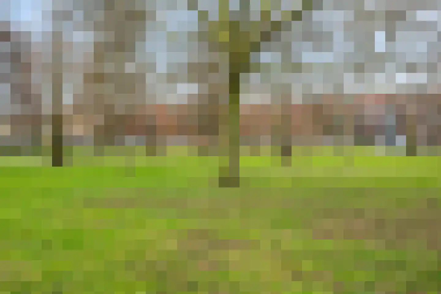 Van Beethovenlaan 341 Maassluis thumbnail 27