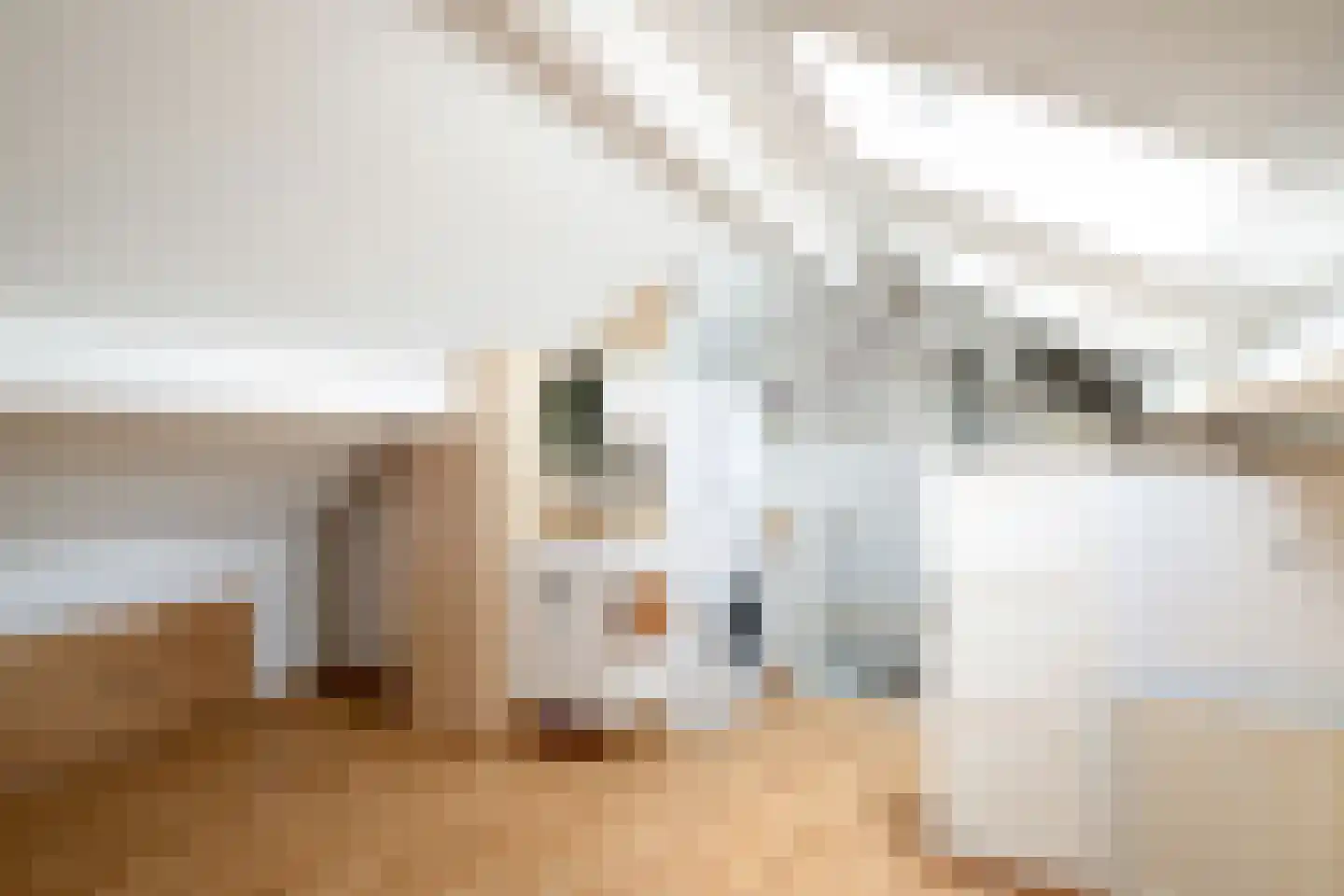 van Beethovenlaan 36 Losser thumbnail 25
