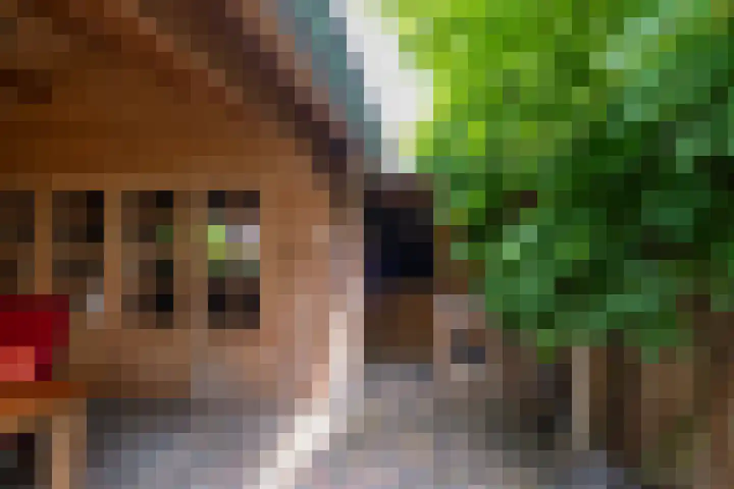 van Beethovenlaan 36 Losser thumbnail 32