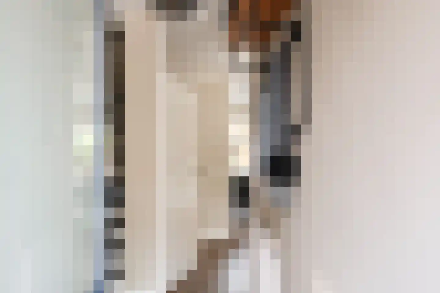 van Beethovenlaan 36 Losser thumbnail 7
