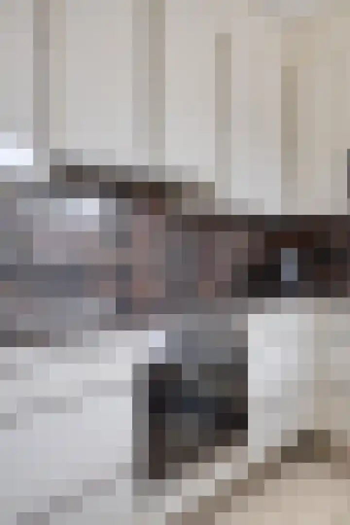 van Beethovenlaan 4 Rhoon thumbnail 13