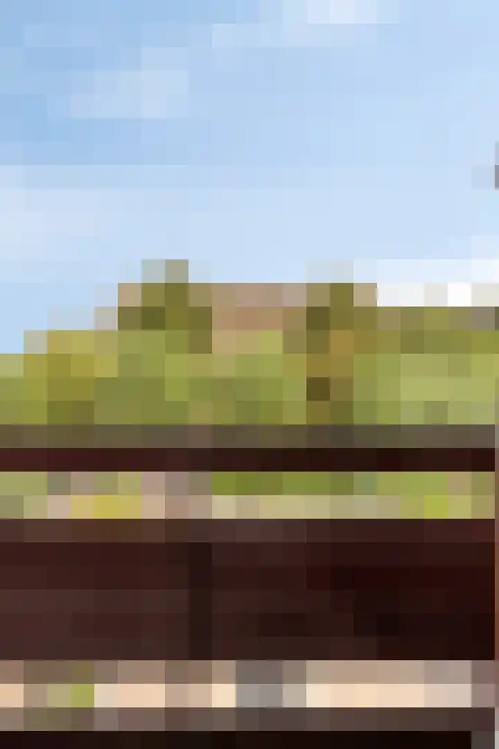 van Beethovenlaan 4 Rhoon thumbnail 27