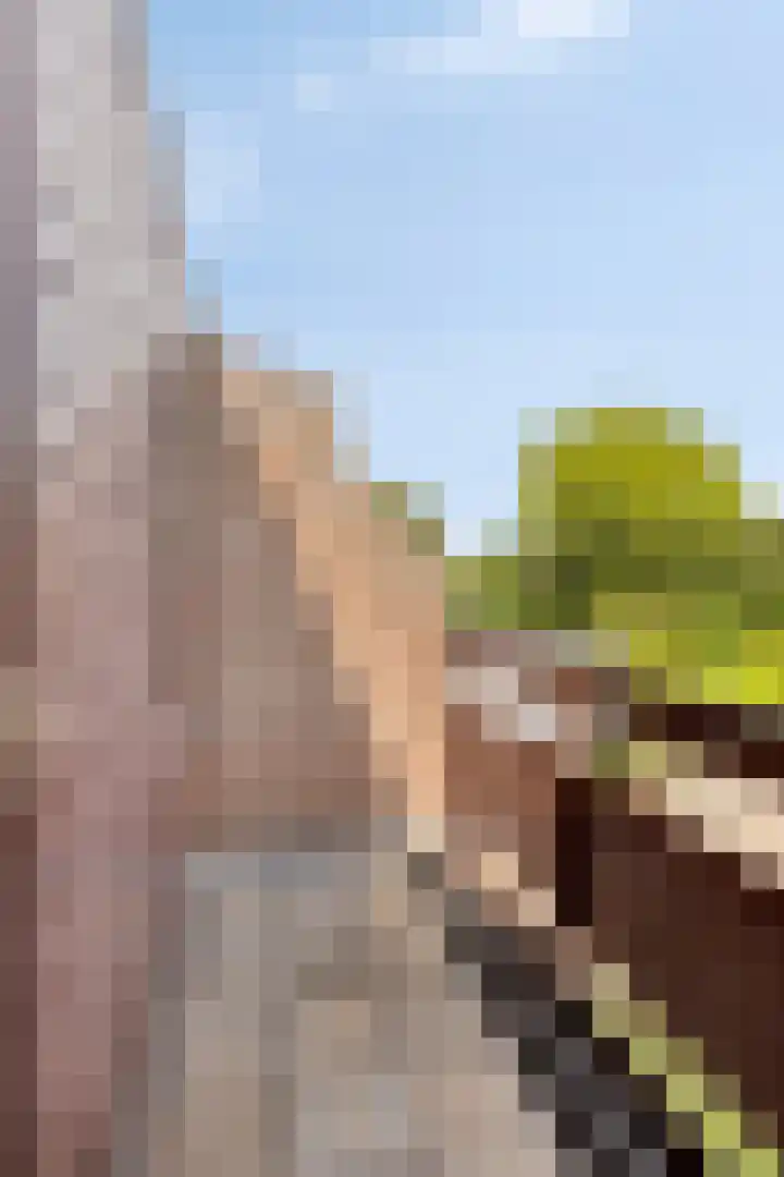 van Beethovenlaan 4 Rhoon thumbnail 28
