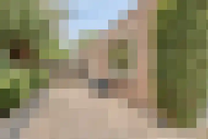 van Beethovenlaan 4 Rhoon thumbnail 36