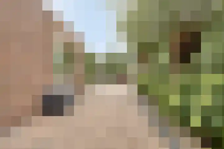 van Beethovenlaan 4 Rhoon thumbnail 37