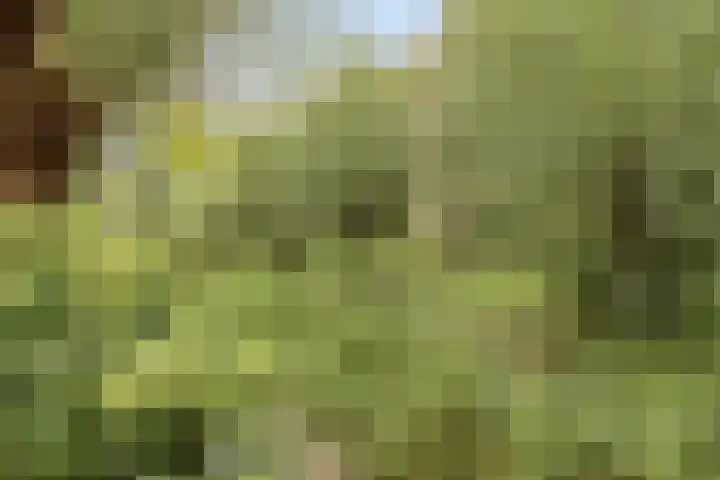 van Beethovenlaan 4 Rhoon thumbnail 40