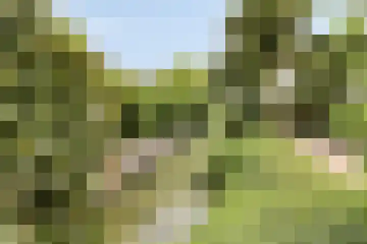 van Beethovenlaan 4 Rhoon thumbnail 41