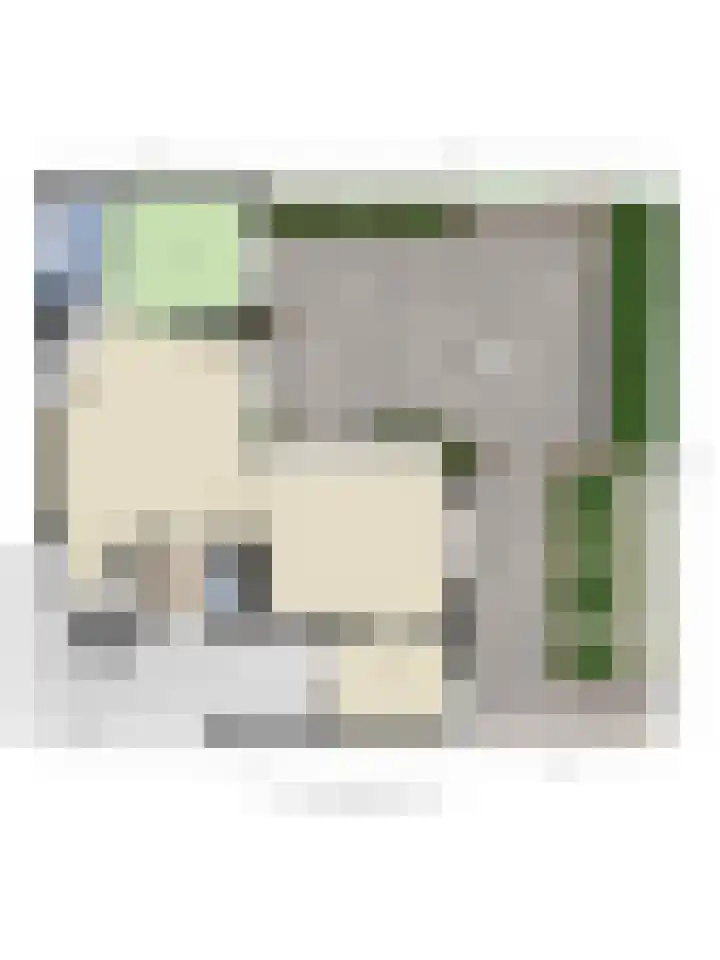 van Beethovenlaan 4 Rhoon thumbnail 42