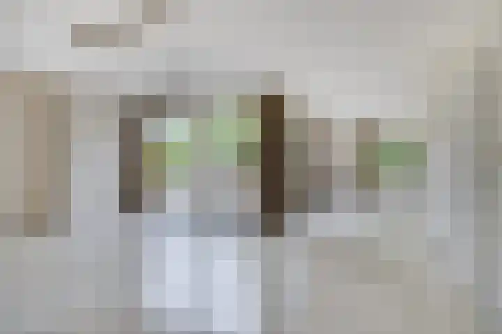van Beethovenlaan 4 Rhoon thumbnail 5