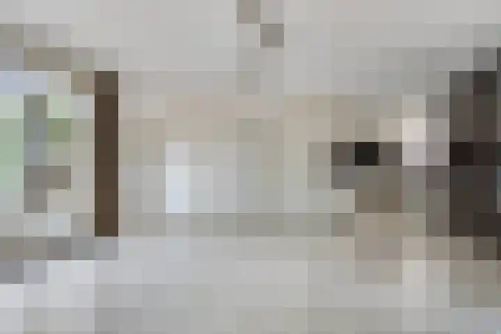 van Beethovenlaan 4 Rhoon thumbnail 6