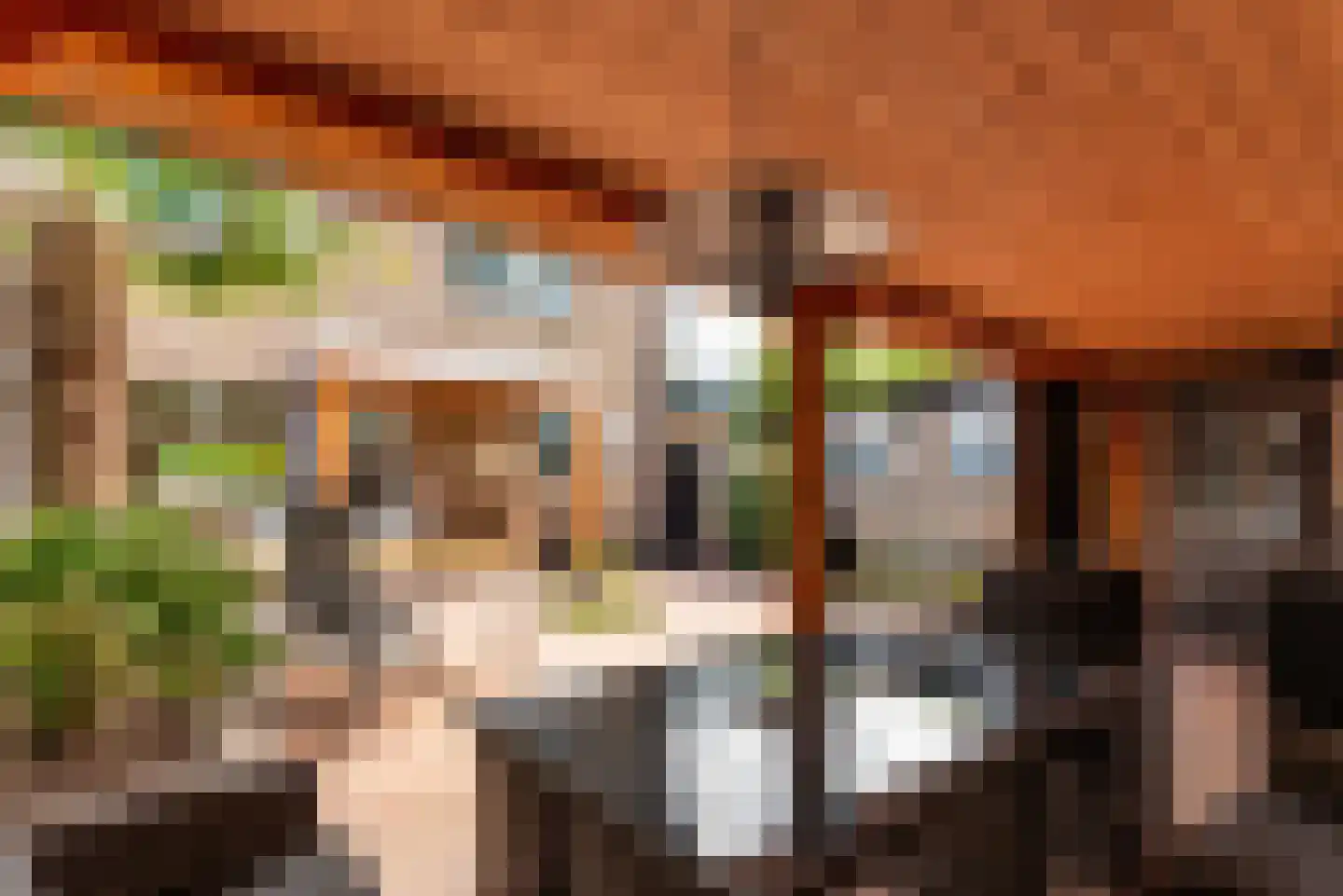 van Beethovenlaan 40 Baarn thumbnail 33