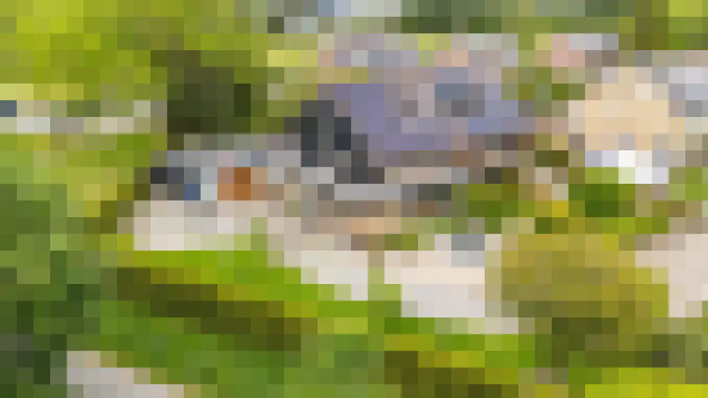 van Beethovenlaan 40 Baarn thumbnail 4