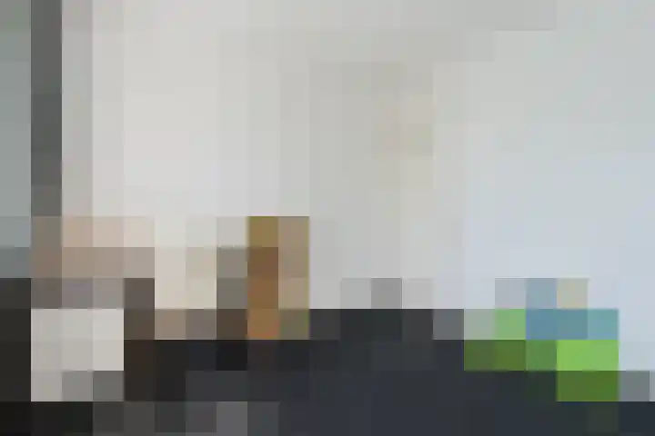 Van Beethovenlaan 45 Voorschoten thumbnail 21
