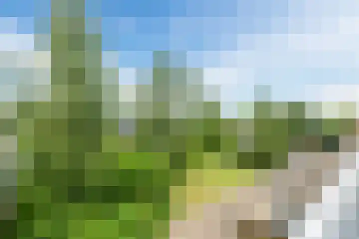 Van Beethovenlaan 45 Voorschoten thumbnail 4