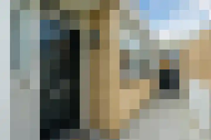 Van Beethovenlaan 45 Voorschoten thumbnail 8