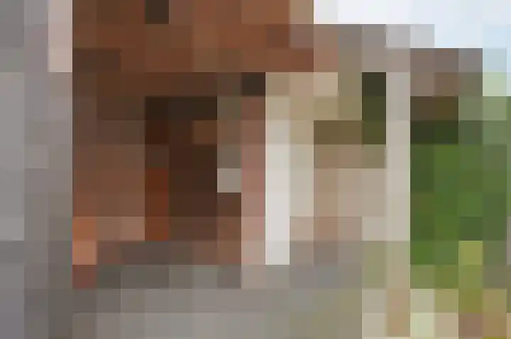 van Beethovenlaan 55 Eindhoven thumbnail 21