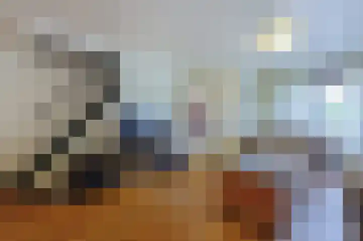 van Beethovenlaan 55 Eindhoven thumbnail 8