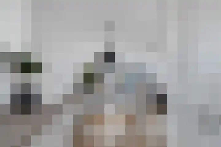 Van Beethovenlaan 79 Capelle aan den IJssel thumbnail 11