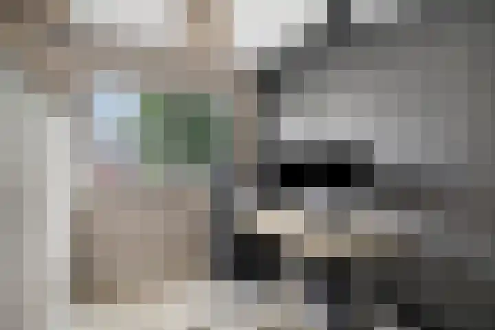 Van Beethovenlaan 79 Capelle aan den IJssel thumbnail 18