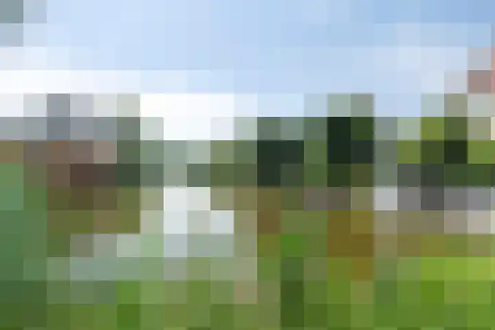 Van Beethovenlaan 79 Capelle aan den IJssel thumbnail 30